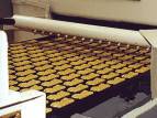 productie koekjes